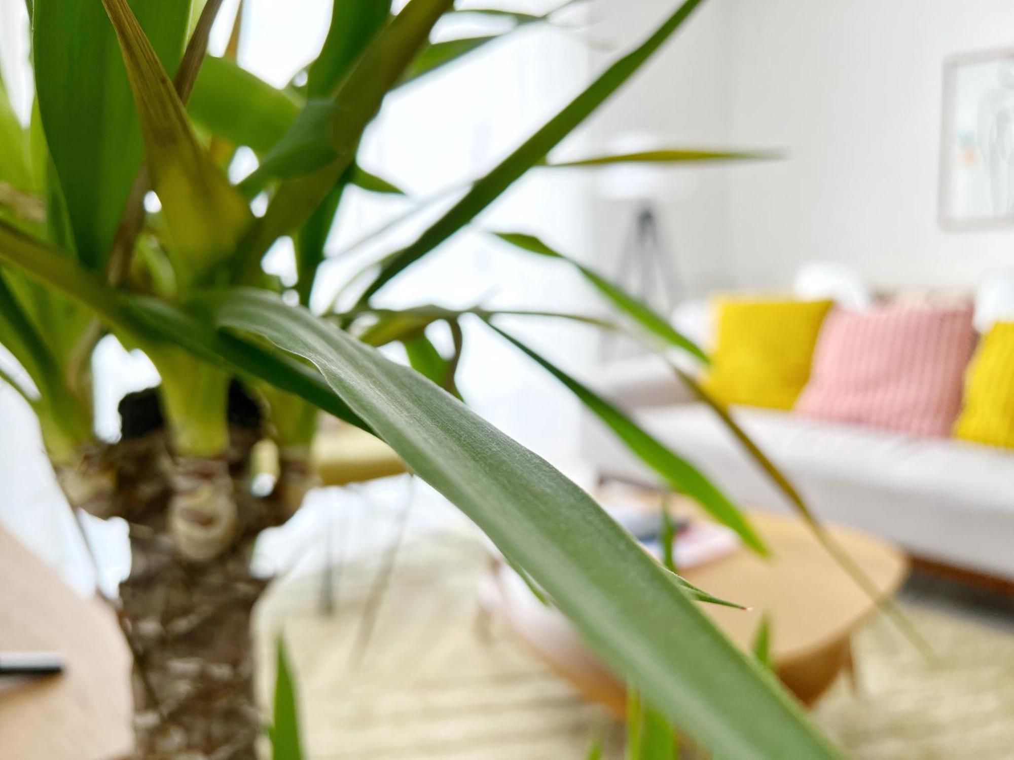 Apartment Le Viarm'elite Nantes